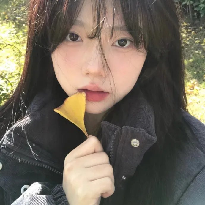 纸之月