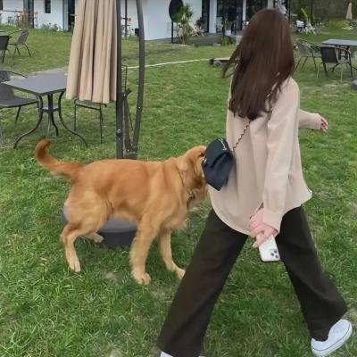 兰根堡之旅